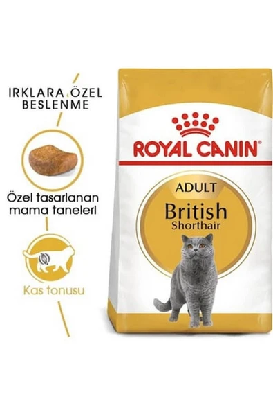 Royal Canin British Shorthair Yetişkin Kedi Maması 2kg ürün görseli 1