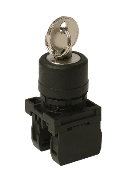 Emas CP101AC30 CP Serisi Plastik 2NO (II-0-I) 60° Anahtarlı Kalıcı Tüm Pozisyonlarda Anahtarı Çıkan 22 mm Buton ürün görseli 1