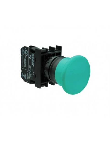 Emas B100MY B Serisi Plastik 1NO Yaylı 40 mm Mantar Yeşil 22 mm Buton ürün görseli 1