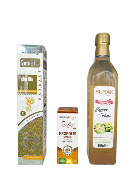 Pelin otu ekstrat 250 ml +propolis 20 ml + enginar sirkesi 500 ml doğal destek takviye seti ürün görseli 1