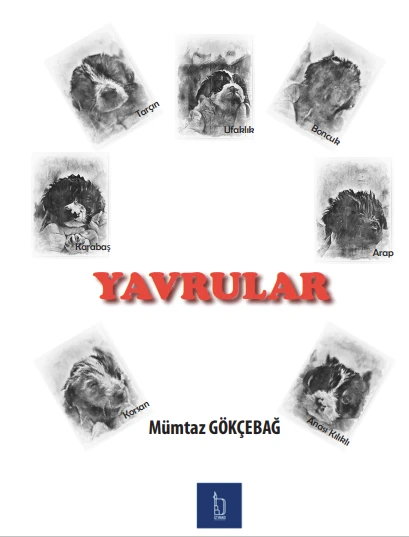 Yavrular - Mümtaz Gökçebağ - İZYAKO Yayınları ürün görseli 1