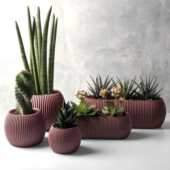Omnipazar KRS Mercan Dekoratif Sukulent Kaktüs Plastik Saksı Takımı 5'li Set Soft Pembe ürün görseli 1