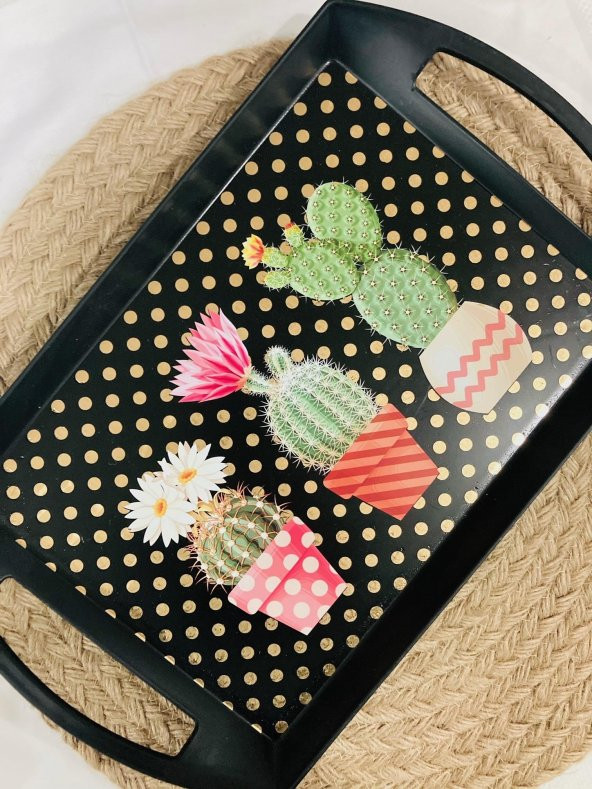 Cactus n ColourTepsi 32*20 ürün görseli 1