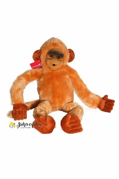 Şeker Adası Sesli Peluş Maymun Kukuli Monkey --skradapelus43 ürün görseli 1