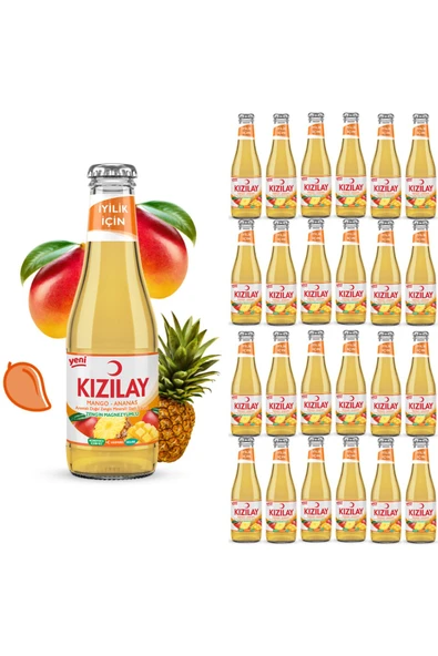KIZILAY MADEN SUYU DOĞAL MANGO ANANAS AROMALI 200 ml X 24 ADET ürün görseli 1