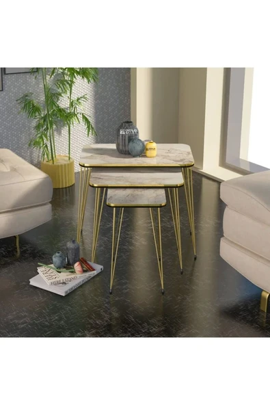 Zigon Sehpa Kr Çift Gold Efes Tel - Resim 4
