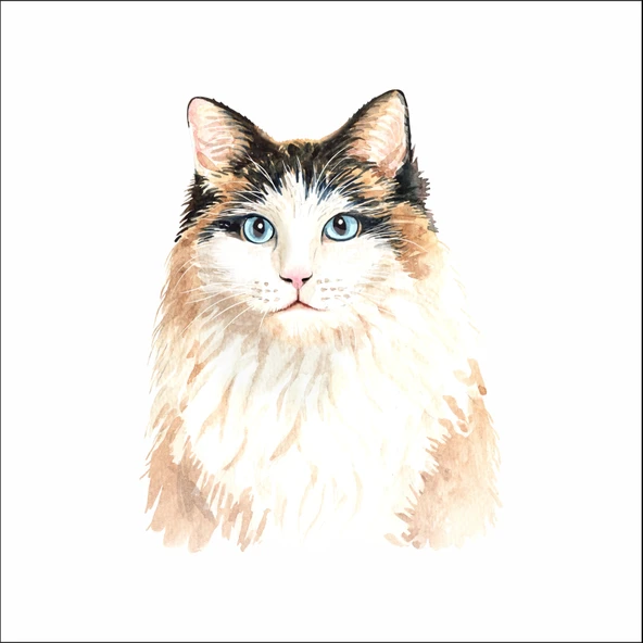Sevimli kedi Sticker 2 ürün görseli 1