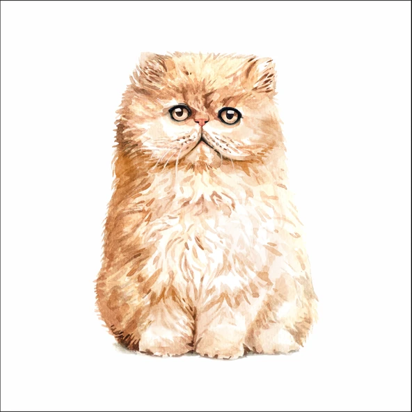 Sevimli Kedi Sticker 5 ürün görseli 1