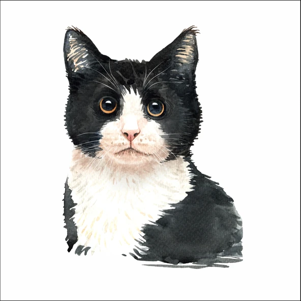 Sevimli Kedi Sticker 4 ürün görseli 1