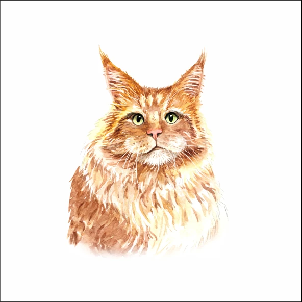 Sevimli Kedi Sticker 1 ürün görseli 1