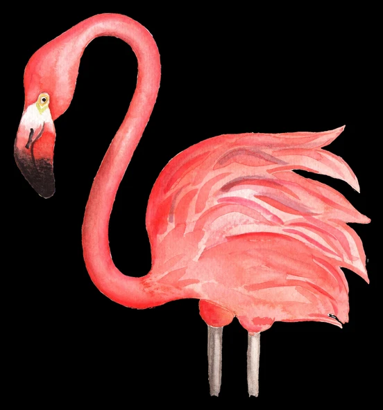 Pembe Flamingo ürün görseli 1