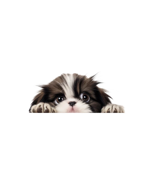 Beyaz Kaniş Duvar Stickerı - Resim 2