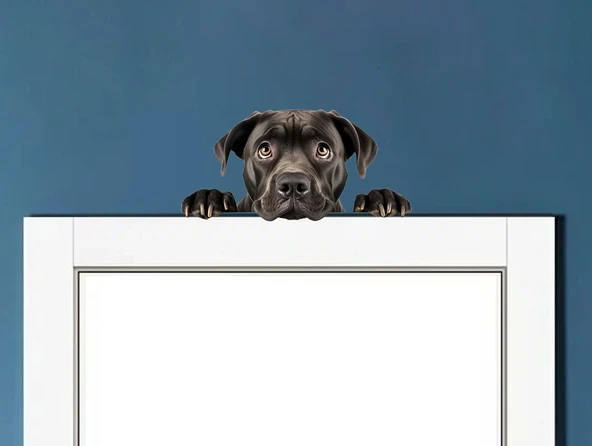 Siyah Cane Corso Köpek Duvar Sticker'ı ürün görseli 1