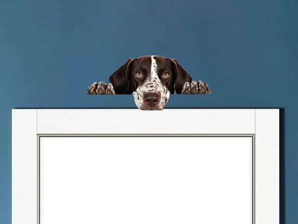 Kahverengi Beyaz Benekli Kısa Tüylü Pointer Köpek Duvar Sticker'ı ürün görseli 1