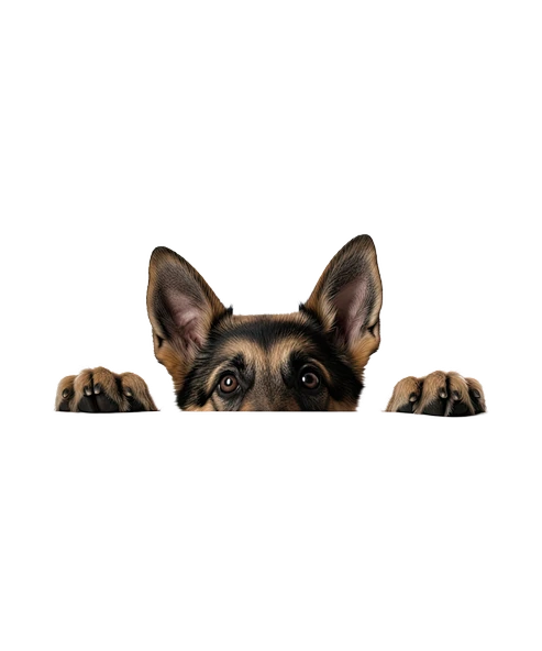 Alman Kurdu Köpek Duvar Sticker'ı - Resim 2