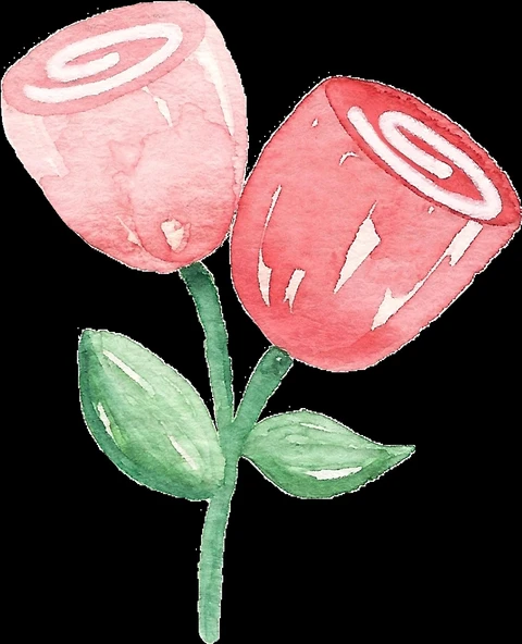 İki Gül Duvar Stickerı ürün görseli 1