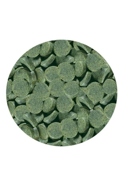 Sera Spirulina Tabs 24 Tablet - Resim 2