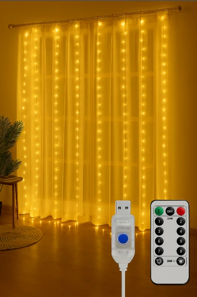 Perdesi Dize Işıkları, 3m x 3m 300 LED Peri Işıkları 8 Modlu Su Geçirmez LED Dize Işıklar Uzaktan Kumandalı ve Zamanlayıcı Kapalı Açık Bahçe ürün görseli 1