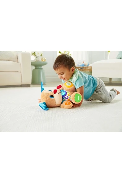 Fisher Price Eğitici Köpekçik FPN79 ürün görseli 1