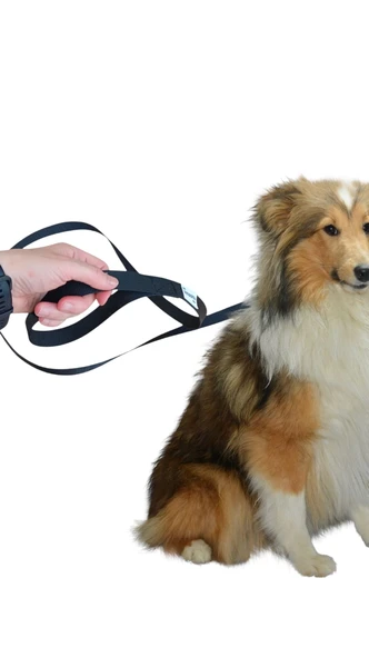 150 cm, Köpek Gezdirme İpi, Köpek Gezdirme Kayışı ,Mr. Lucky Pets ürün görseli 1