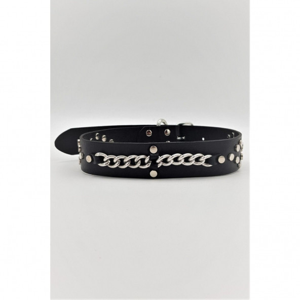 DESİNGSHOP Hakiki Deri Ayarlanabilir Büyük Irk Köpek Tasması 4 Cm X 67 Cm Boyun Ölçüleri: 45 - 59 Cm ürün görseli 1