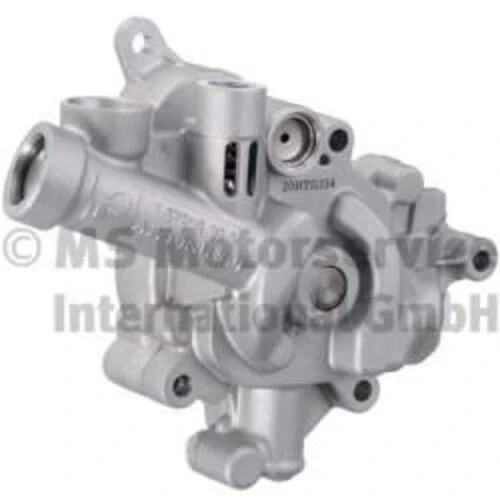 Pierburg 7.07919.30.0  Fkm / Fpm Oıl Pump ürün görseli 1