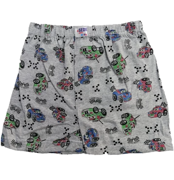 Sedef Yıldız Erkek Çocuk Desenli Penye Boxer ürün görseli 1