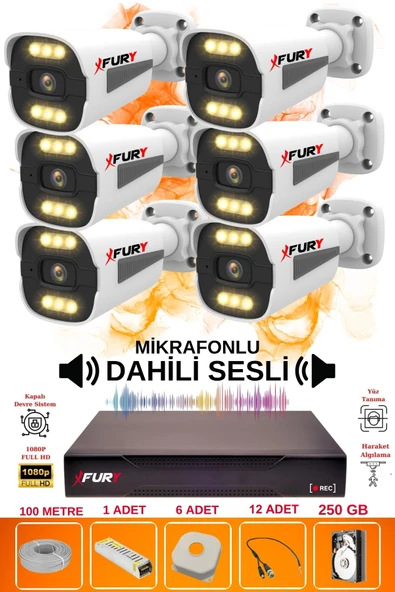 FURY 6 lı Sesli 6 Warm Led Gece Renkli Görüş Su Geçirmez Güvenlik Kamerası Seti 250GB ürün görseli 1