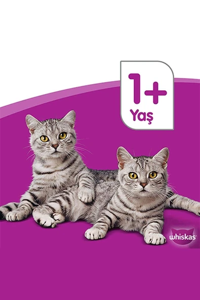 Whiskas Ton Balıklı Kuru Mama 3800 gr ürün görseli 1