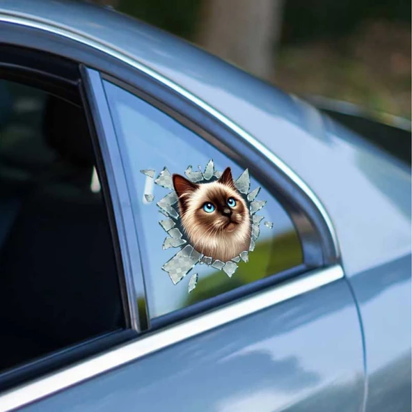 Fulcar Siamesse Araç Stickerı ürün görseli 1