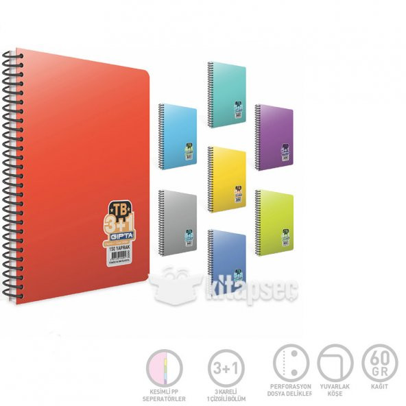 GIPTA TB 3+1 150YAPRAK AYRAÇLI PLASTİK KAPLI F-DEFTER ürün görseli 1