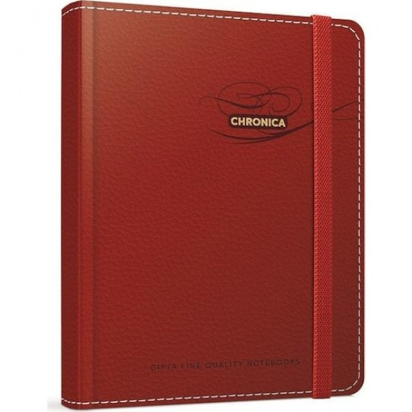 GIPTA CHRONICA 14X20 40YP ÇİZGİLİ LASTİKLİ SERT KAPAT DEFTER ürün görseli 1
