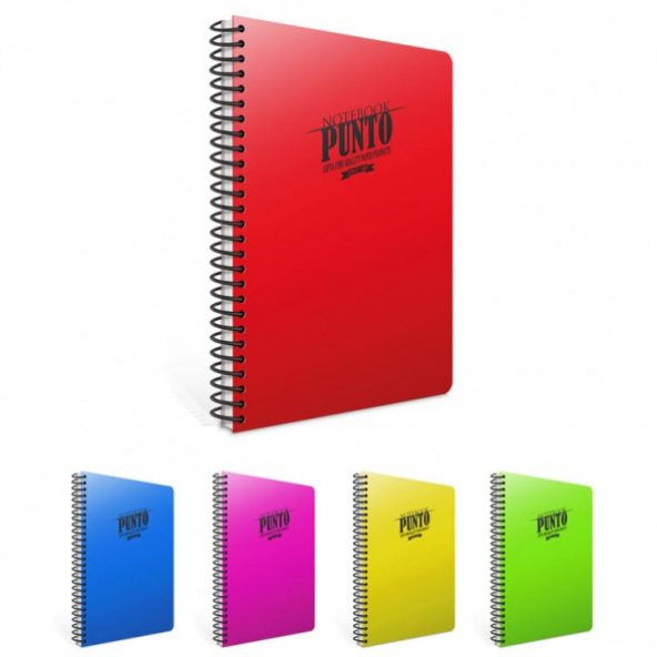GIPTA PUNTO 100 YAPRAK KARELİ A4 SİPRALLİ PLASTİK KAPAK ürün görseli 1