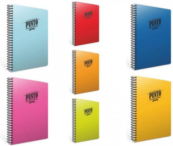 GIPTA PUNTO 80 YAPRAK ÇİZGİLİ A4 SİPRALLİ PLASTİK DEFTER ürün görseli 1