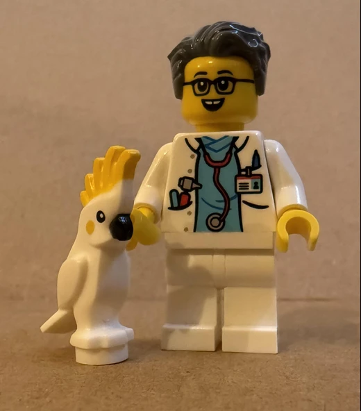 Orjinal Lego Minifigür Doctor with Parrot ürün görseli 1