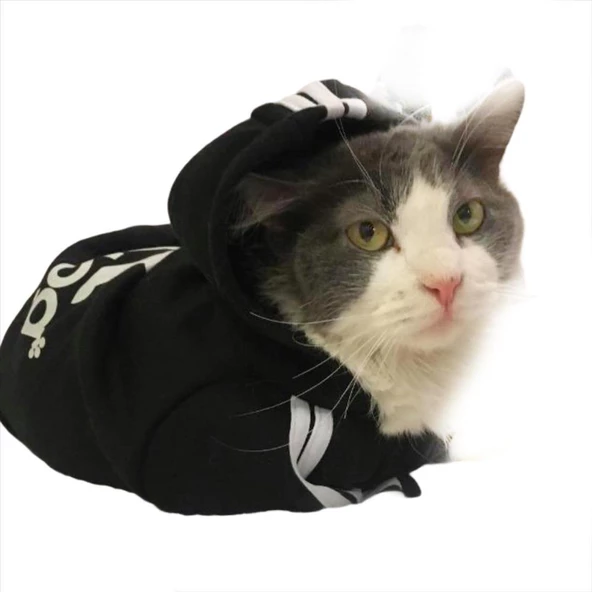 Siyah Adidog Kapşonlu Duo Kedi Sweatshirt Kedi Kazağı ürün görseli 1