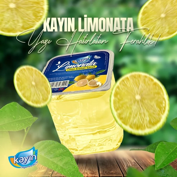 limonata  bardak limonata  kolide 48 adet limonata 200 ml lik bardak ürün görseli 1