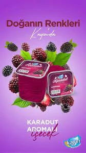 karadut özlü limonata  kolide 48 adet  karadut lezzeti  200 ml lik bardak ürün görseli 1
