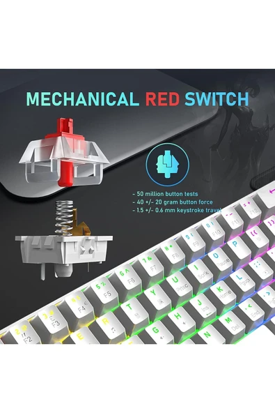 silabor RGB KLAVYE - Resim 2