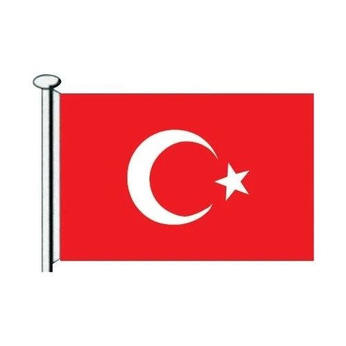 Saray Türk Bayrağı 200X300 - Resim 2