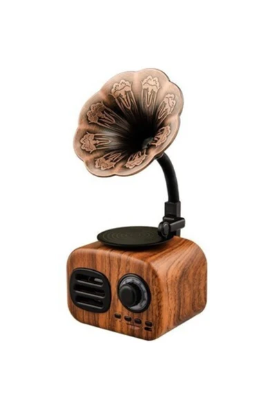 nilin Ft-05 Retro Mini Ahşap Gramafon Bluetooth Radio Hoparlör ürün görseli 1