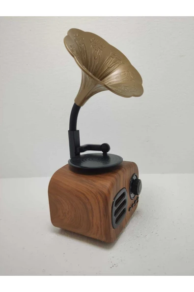 Proton Nostaljik Mini Bluetooth Radyo Gramafon Speaker ürün görseli 1