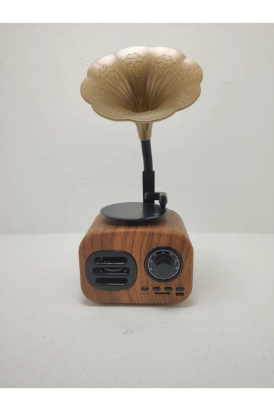 Proton Nostaljik Mini Bluetooth Radyo Gramafon Speaker - Resim 4