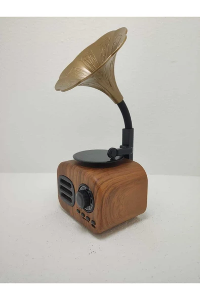 Proton Nostaljik Mini Bluetooth Radyo Gramafon Speaker - Resim 3