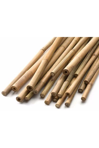 Genta 5'li Bambu Bitki Destek Çubuğu 120 Cm ürün görseli 1