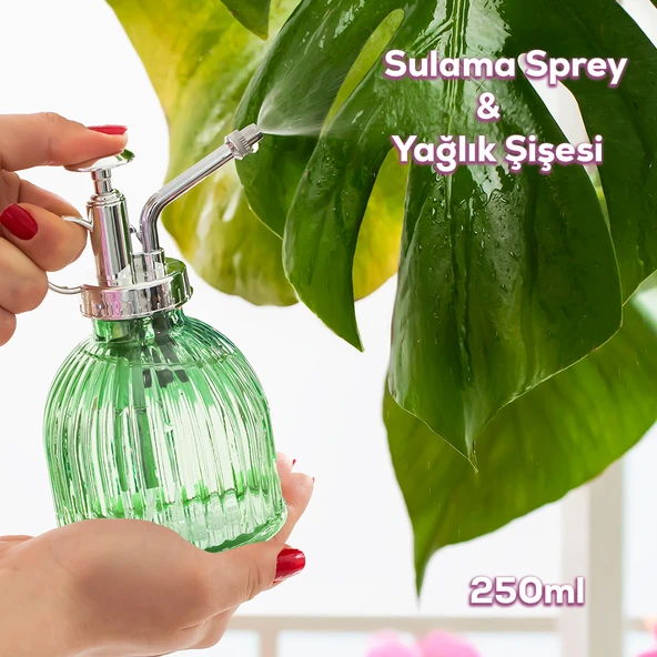 Perotti 15731 Yeşil Vintage Cam Bitki Sulama Şişesi Sprey Şişe ürün görseli 1