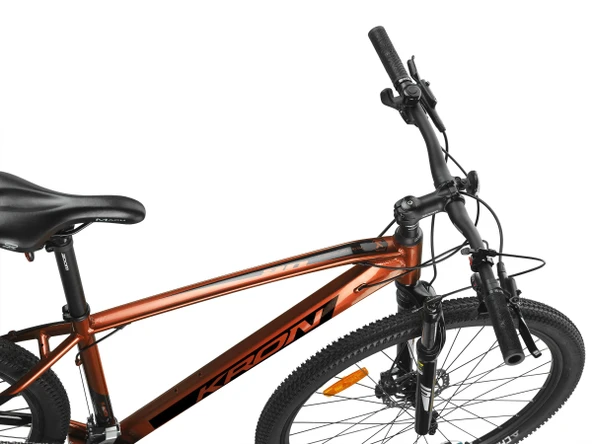 XC 300 - 29  MTB - 19' - 18 Vites - H.DISC - Kahverengi - Siyah ürün görseli 1