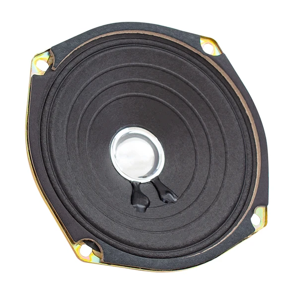 Westsound 12 Cm 8 Ohm 6W - Max 80W Yedek Hoparlör WS-5 ürün görseli 1