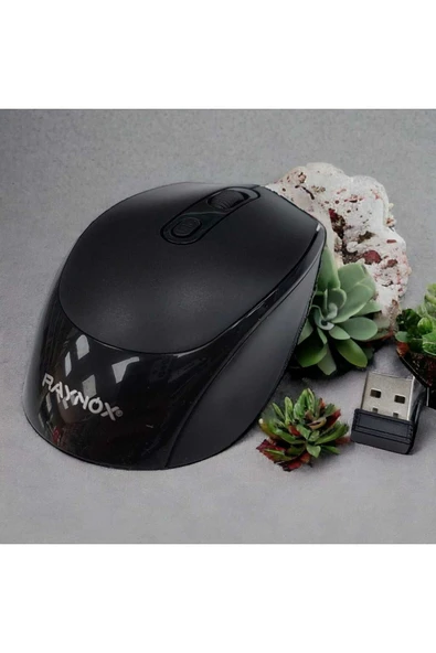 RAYNOX RX-M201 MOUSE ürün görseli 1