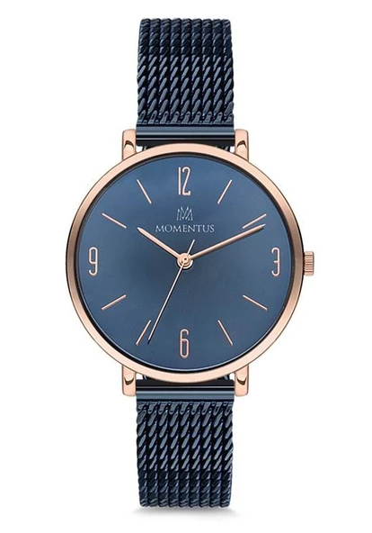 MOMENTUS CW117R-11SR KOL SAATİ ürün görseli 1